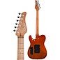 Open Box Schecter Guitar Research PT Van Nuys 6 String Electric Guitar Level 1 Gloss Natural