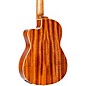 Ortega RCE138-T4 Thinline Acoustic-Electric Nylon Guitar High Gloss Natural