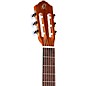 Ortega R121G Nylon Guitar Gloss Natural 4/4