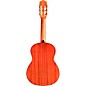 Cordoba Protege C1M 1/4 Size Nylon-String Classical Acoustic Guitar