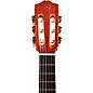 Cordoba Protege C1M 1/4 Size Nylon-String Classical Acoustic Guitar