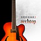 Impact Soundworks Shreddage 3 Archtop (Download) thumbnail