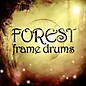 Impact Soundworks Forest Frame Drums (Download)