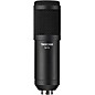 TASCAM TM-70 Dynamic Broadcast Streaming Microphone Black