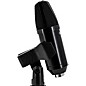 CAD U29 USB Side Address Studio Microphone Black