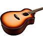 Breedlove Premier Adirondack Spruce-East Indian Rosewood Concerto CE Acoustic-Electric Guitar Burnt Amber Burst