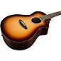 Breedlove Premier Sitka Spruce-East Indian Rosewood Concert CE Acoustic-Electric Guitar Burnt Amber Burst