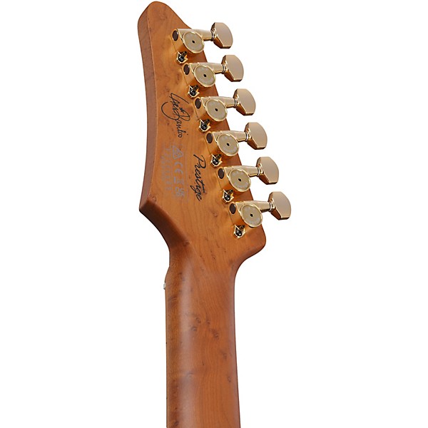 Ibanez LB1 Lari Basilio Signature Electric Guitar Black