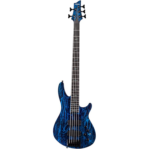 Clearance Schecter Guitar Research C-5 Silver Mountain 5