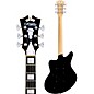 Open Box D'Angelico Premier Series Bedford SH Limited-Edition Electric Guitar with Tremolo Level 2 Black Flake 194744911538