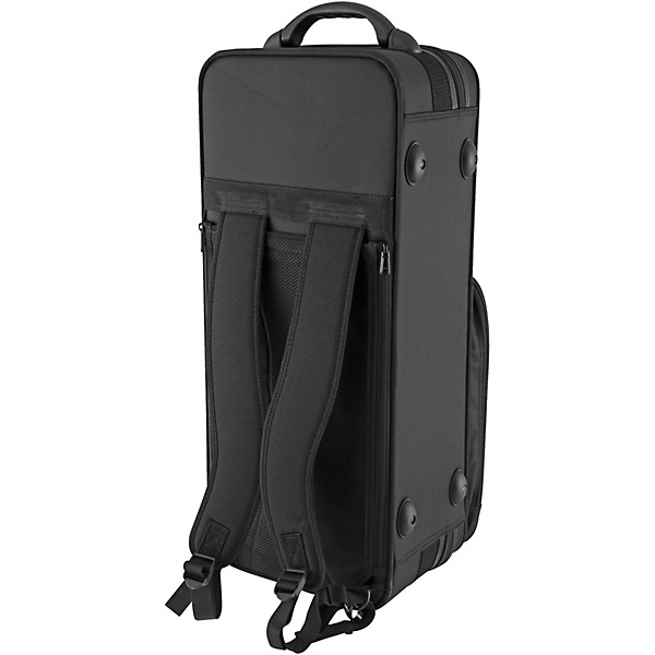 Selmer SAS411 Intermediate Alto Saxophone Lacquer