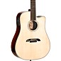 Alvarez DY70CE12 Yairi Standard 12-String Dreadnought Acoustic-Electric Guitar Natural thumbnail