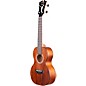 D'Angelico Premier Bayside CS Koa Concert Ukulele Natural