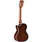 Alvarez Artist Tenor Acoustic-Electric Ukulele Natural