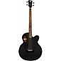 Open Box Spector Timbre 4 Jr. Short Scale Acoustic-Electric Bass Level 1 Matte Black