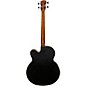 Open Box Spector Timbre 4 Jr. Short Scale Acoustic-Electric Bass Level 1 Matte Black