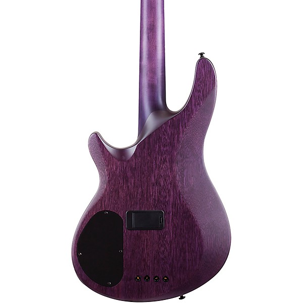 Schecter Guitar Research C-4 GT Satin Trans Purple