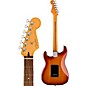 Fender Player Plus Stratocaster Pau Ferro Fingerboard Electric Guitar Sienna Sunburst