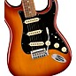 Fender Player Plus Stratocaster Pau Ferro Fingerboard Electric Guitar Sienna Sunburst