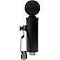 Lauten Audio LS-308 Large-Diaphragm Condenser Microphone Black