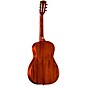 Alvarez MPA66 Masterworks Parlor Acoustic Guitar Shadow Burst Shadow Burst