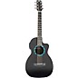 RainSong Concert Series Parlor Acoustic-Electric Guitar Carbon Fiber