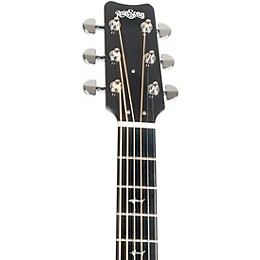 RainSong Concert Series Parlor Acoustic-Electric Guitar Carbon Fiber