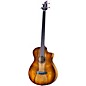 Breedlove Pursuit Exotic S CE Fretless Concerto Acoustic-Electric Bass Amber Burst