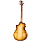 Breedlove Pursuit Exotic S CE Fretless Concerto Acoustic-Electric Bass Amber Burst