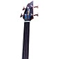 Breedlove Pursuit Exotic S CE Fretless Concerto Acoustic-Electric Bass Amber Burst