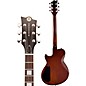 Reverend Roundhouse Electric Guitar Outfield Ivy