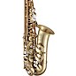 Selmer Paris 92 Supreme Professional Alto Saxophone Antique Matte Antique Matte Keys