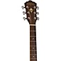 Washburn D10S Heritage 10 Series Dreadnought Acoustic Guitar Natural