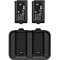 Open Box Sennheiser EW-D Charging Set, Includes L-70 USB Charger and BA-70 Rechargeable Battery Pack Level 1