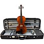 Stentor Arcadia Series Violin Outfit 4/4