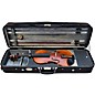 Stentor Arcadia Series Violin Outfit 4/4