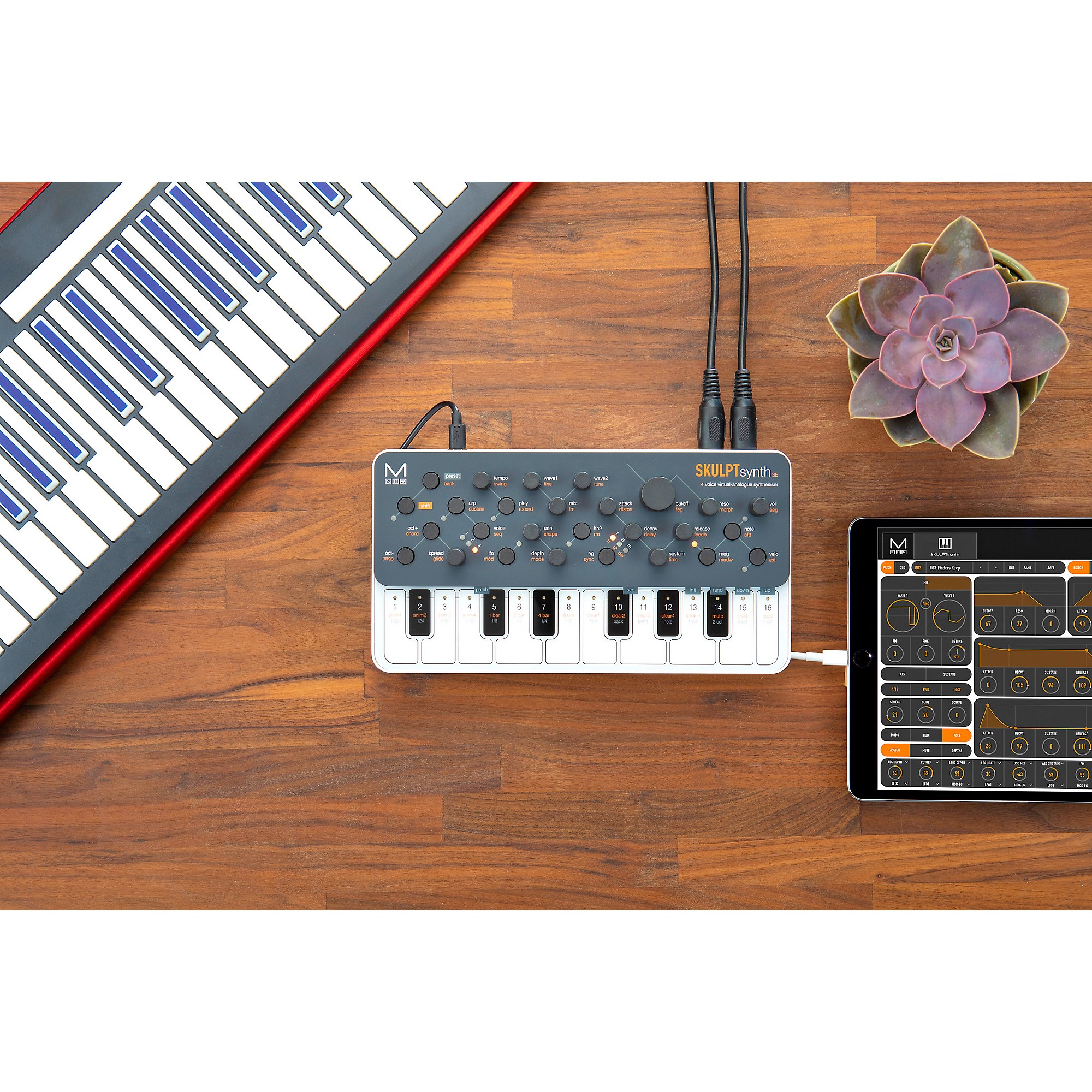 Modal Electronics Limited SKULPT SE 4-Voice Virtual Analog
