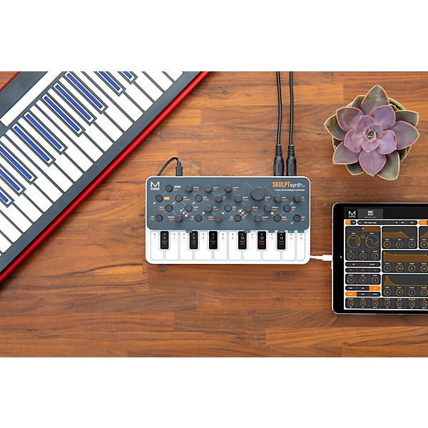 Modal Electronics Limited SKULPT SE 4-Voice Virtual Analog