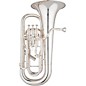 Eastman EEP826S Professional Series Compensating Euphonium Silver Yellow Brass Bell thumbnail