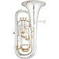 Eastman EEP526GS Professional Series Compensating Euphonium Silver Yellow Brass Bell thumbnail