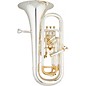 Eastman EEP526GS Professional Series Compensating Euphonium Silver Yellow Brass Bell
