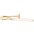 Eastman ETB428 Intermediate Series F-Atta... Eastman ETB428 Intermediate Series F-Attachment Trombone Lacquer Gold Brass Bell