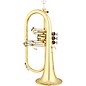 Eastman EFG412 Series Bb Flugelhorn Lacquer Yellow Brass Bell thumbnail