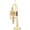 Eastman ECN421 Series Bb Cornet Lacquer Yellow Brass Bell Eastman ECN421 Series Bb Cornet Lacquer Yellow Brass Bell