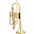 Eastman ECN422 Series Bb Cornet Silver Yellow Brass Bell Eastman ECN422 Series Bb Cornet Lacquer Yellow Brass Bell