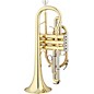 Eastman ECN422 Series Bb Cornet Lacquer Yellow Brass Bell