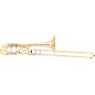 Eastman ETB848 Professional Series Bass Trombone Lacquer Gold Brass Bell thumbnail