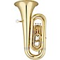 Eastman EBE251 Student Series 4-Valve 3/4 Eb Tuba Lacquer Yellow Brass Bell thumbnail