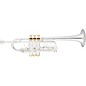 Eastman ETR530GS Advanced Series Trumpet Silver Gold Brass Bell thumbnail