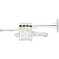 Eastman ETR823S Professional Series Bb/A Piccolo Trumpet Silver Yellow Brass Bell thumbnail